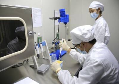 河南一縣市了不起!擁有國家級生物基材料產業聚集區