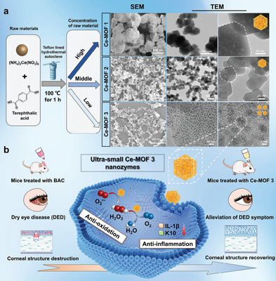 干眼治療新路徑!復旦團隊研發(fā)納米酶"刷"掉過量眼表活性氧