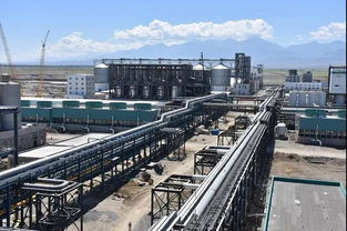 凱賽創(chuàng)新型生物基聚酰胺為下游企業(yè)帶來更多解決方案