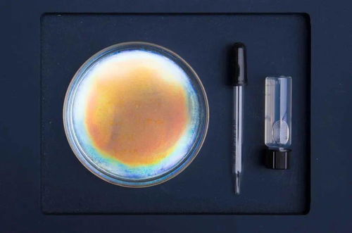 生物紡織研究 跨領(lǐng)域設(shè)計(jì)師們繼續(xù)給你帶來綠色靈感