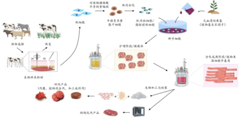 226起投融資、52個(gè)過(guò)億項(xiàng)目.食品飲料行業(yè)有哪些潛力賽道值得挖掘?