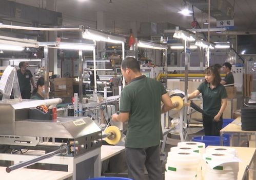 創新驅動，綠色先行——記廣東盈通新材料研發中心榮膺“全國工人先鋒號”稱號